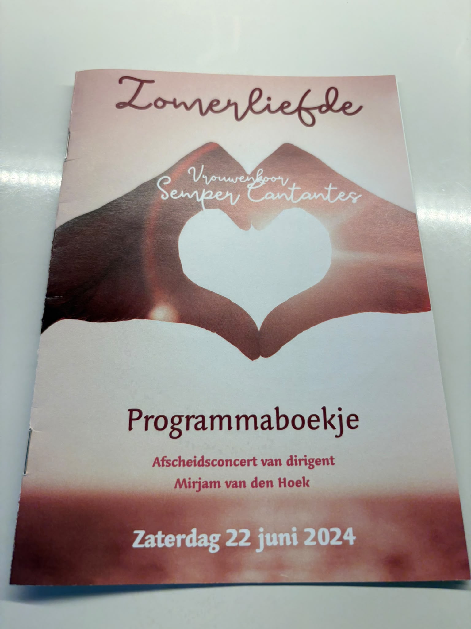 Programmaboekje van Zomerliefde